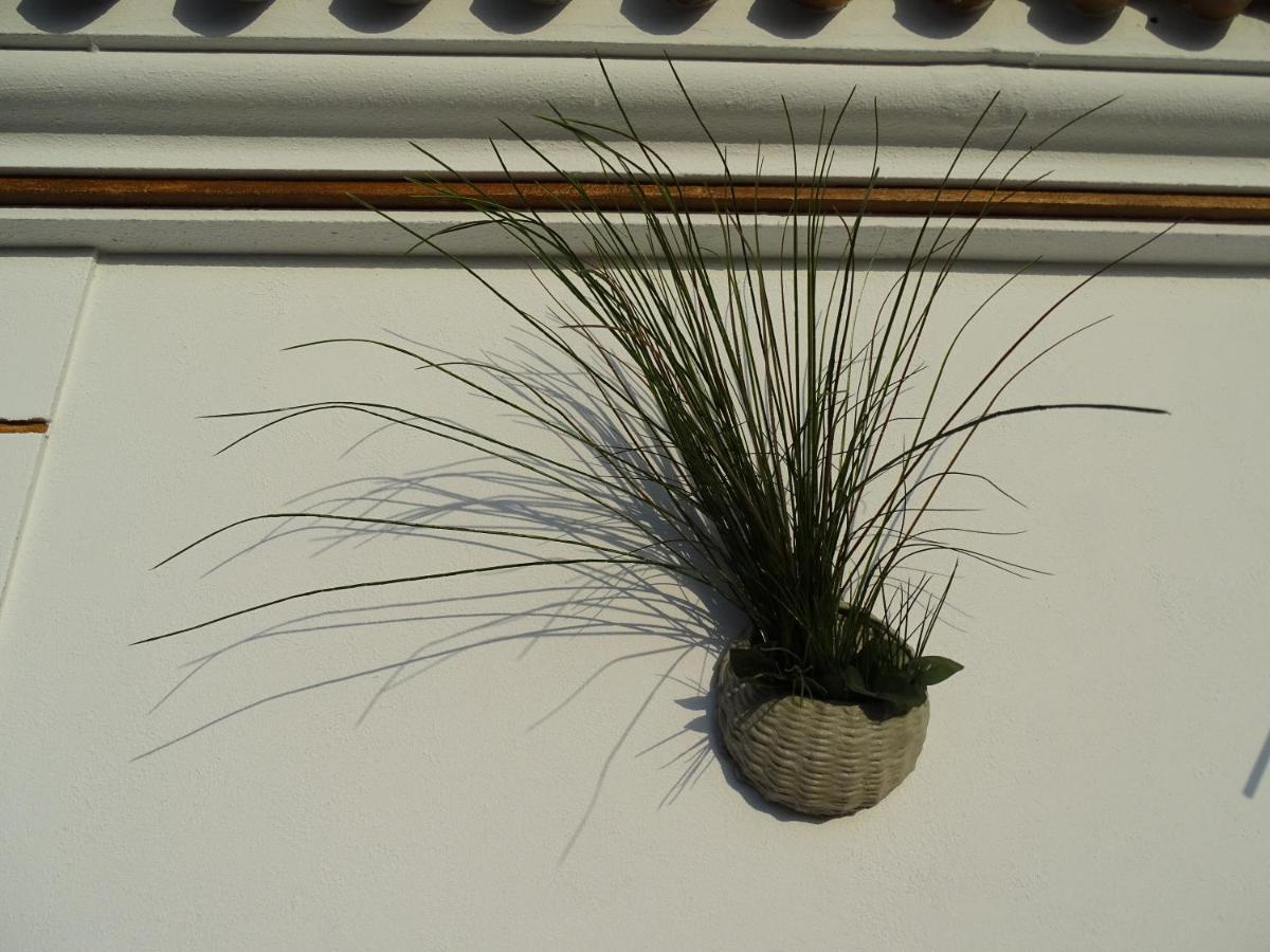 Samadhi Home Chiclana de la Frontera Εξωτερικό φωτογραφία